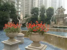 精装三房 板式通透 拎包入住 品质物业