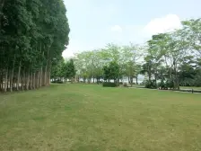 丰泰星御墅边位别墅大花园 毛坯 业主诚心出售