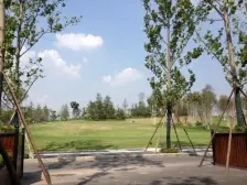 茶园新区 融创伊顿濠庭二房