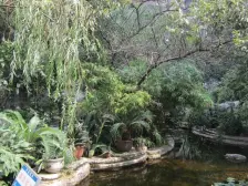 户型好,近轻轨,视野好,出入方便