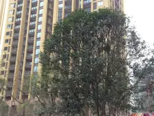 一线江景大四房 装修只住了两年 保持很好