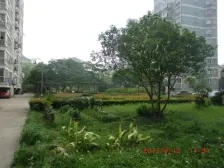 亚太苑电梯洋房 中间楼层 业主诚心出售!