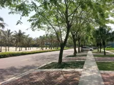 丰泰星御墅 6室3厅 东南 西北