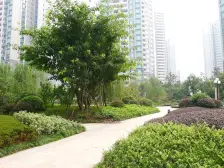 精装四房双卫+朝南方正户型+湖景高地+百米楼栋距