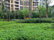 一线看江大端户,夜景漂亮极了