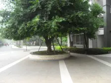 江北南桥寺永辉总部轻轨环线旁正规大两房 视野开阔