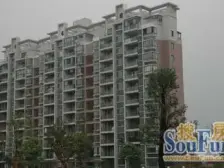 张江后花园,小区中芯位置,交通便捷,生活购物方便