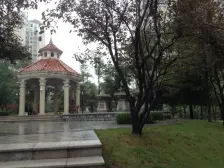 汽博中心 爱加西西里二房150万