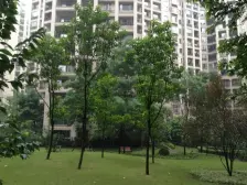 汽博中心 爱加西西里三房