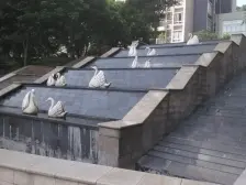 北滨路 华宇北国风光二房123万