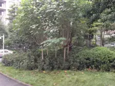 汽博北岸明珠三房 拎包入住配套成熟 离在建15号近!