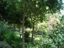 鸳鸯 复地新城就四房123万