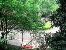 低密度纯洋房大社区 板式结构 户型方正