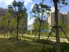 此房满2年,高层视野开阔,采光充足,精装修,进地铁