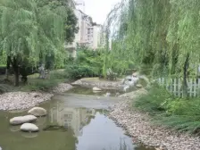 临大河大独栋,环绕式大花园500平,散步像公园