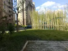 满五唯Y 南北通二房 业主诚意出售 价格可谈