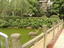 此房小区环境好 住家安静 采光好 户型方正 准轻轨房