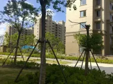 浦江馨都2室南朝向245.00万元/套出售