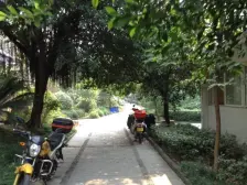 成熟小区 绿化环境好 生活出行方便 跃层