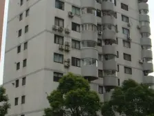 梧桐树少遇户型 房型周正出房率高!21装修拎包入