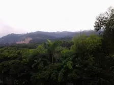 稀有大复式,装修保养很好,看房方便