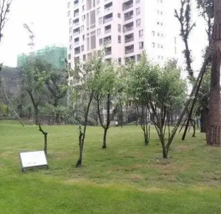 隆鑫花漾四季