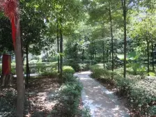 石桥铺5号线巴山轻轨站旁正规两房