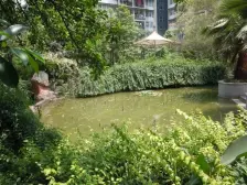 高新区 巴渝佳梦一房43万