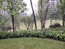 中间楼层,带地暖,住家装修,价格带车位