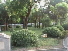 高新区 达飞绿洲三房