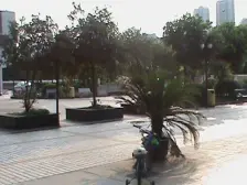 陈家坪轻轨房,1室1厅,精装重装,围合小区