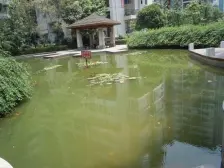 石桥铺巴山轻轨站3号出口楼上,正规三房朝南