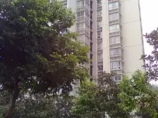 房子对中庭 位置安静 99新装拎包入住