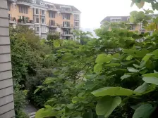 板式结构,户型方正,通风好,位小区中庭,位置安静