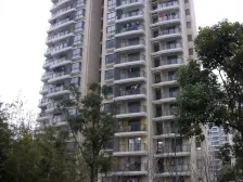 近地铁,无抵押 随时看房,电梯房 新上房源