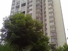 鸳鸯 园丁梦苑三房120万