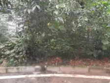 南桥寺 明瑜恒康佳苑四房