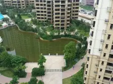 房型方正,楼层好,采光好,没有个税