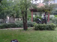 恒美公园壹号 清水两房 采光好 环境优美