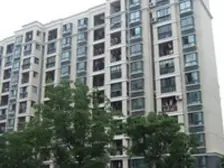 诚心出售,满五年,诚心出售,前后栋距大