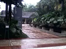 鸳鸯 融科海阔天空二期二房