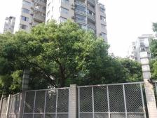 新华路·当代新华·2室·2厅