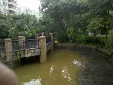 五年唯一 南向无贷款 精装修看房153-0283.5833