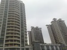 中间楼层,采光好,正南朝向。业主好谈。