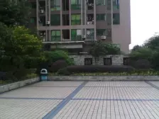 鸳鸯金城银樽端户 采光没有遮挡