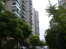 中环花苑+南北通三房+诚意出售+价格可谈