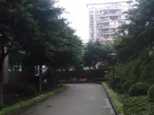 鸳鸯 金城银樽二房79万