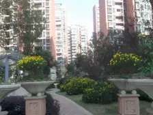 精修即住,温馨两室,车位齐售,大阳台,位置好