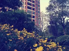 新江湾稀一缺大平层,地铁口小区