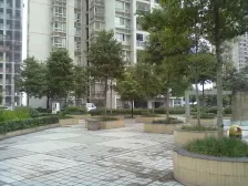 鸳鸯 园丁梦苑一房50万